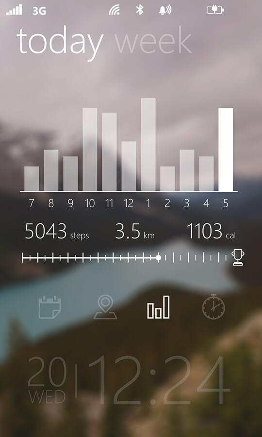 Screenshot of fitness data