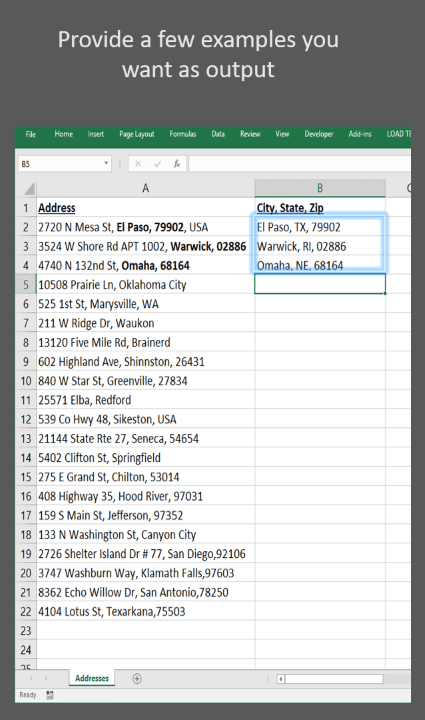 Excel spreadsheet screenshot with text: Provide a few examples you want as output