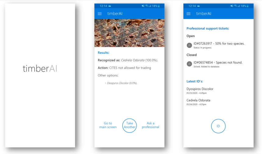 Screenshots of the TimberAI MVP. Image Rights: Antonio de Marco